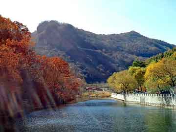 管家婆黑白马报图库，搜